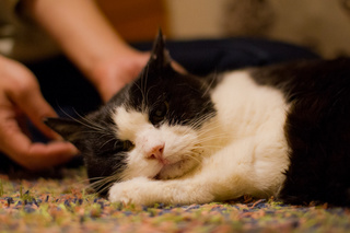 まぐ20140515.jpg