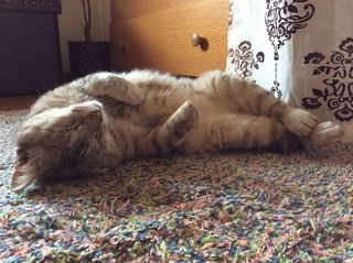 IMG_0313.JPG