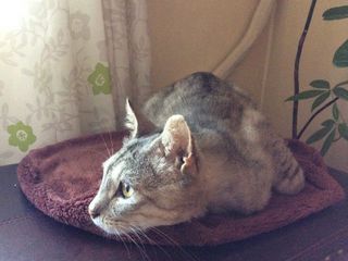 IMG_0344.JPG