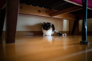 IMG_0602.jpg