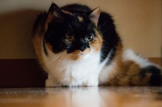 IMG_0607.jpg