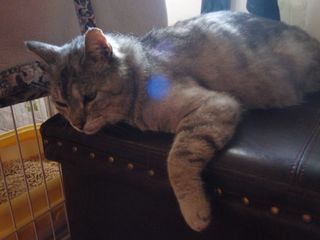 P1011014.JPG