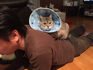 image.jpg